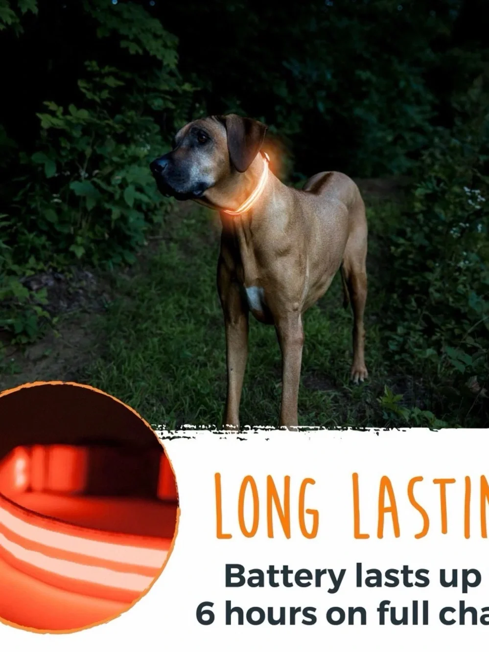 NWT! Mighty Paw Neon Green Rechargeable LED Dog Collar sz Small